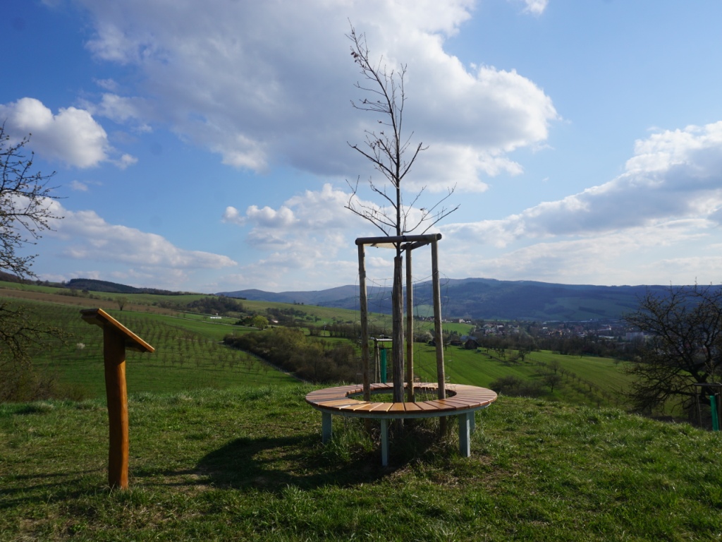 Kruhová lavička kolem kmene stromu (4/2021)